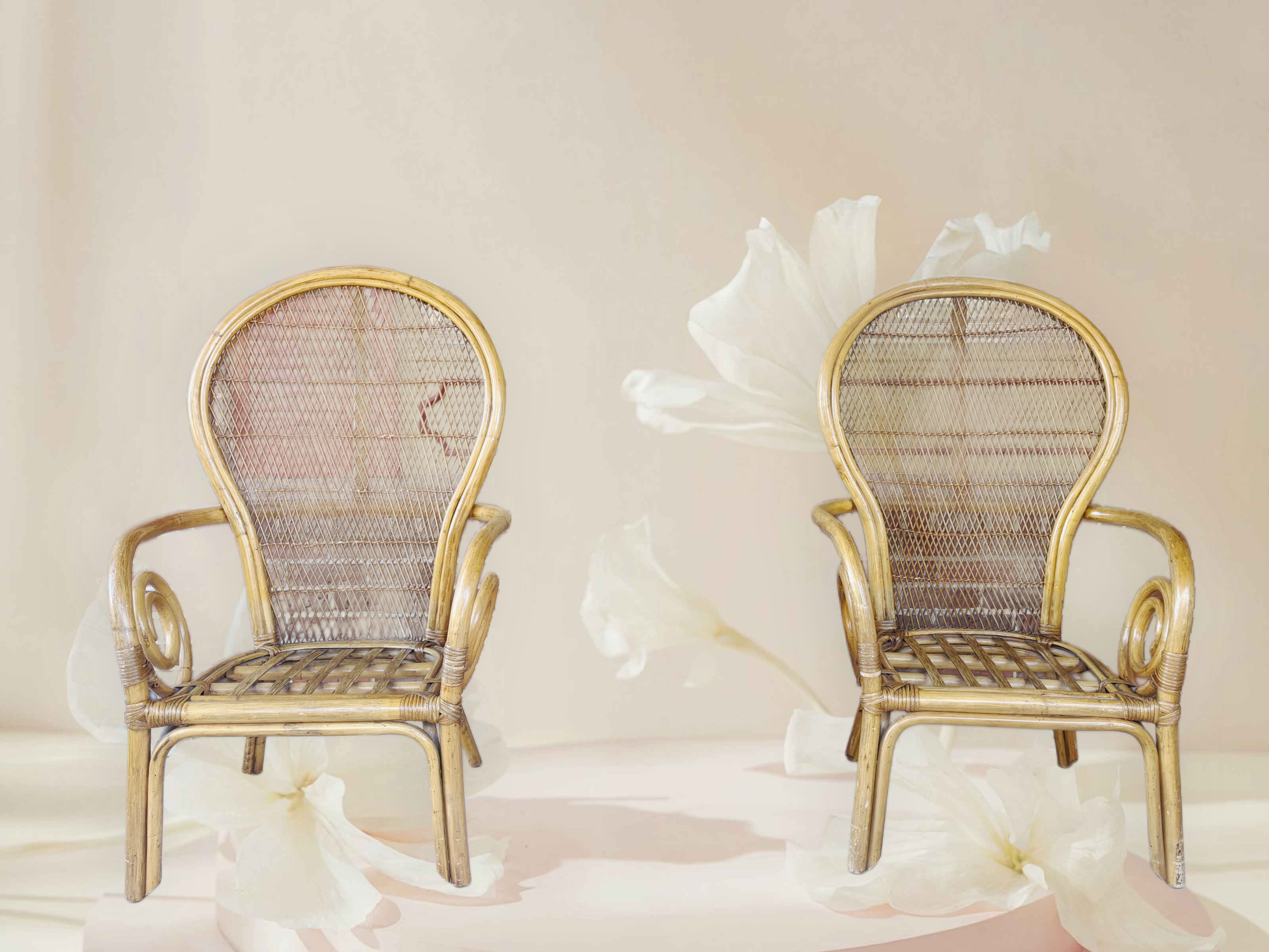 Vintage-Inspired Rattan Accent Chairs (Set of 2)| Add-On Only